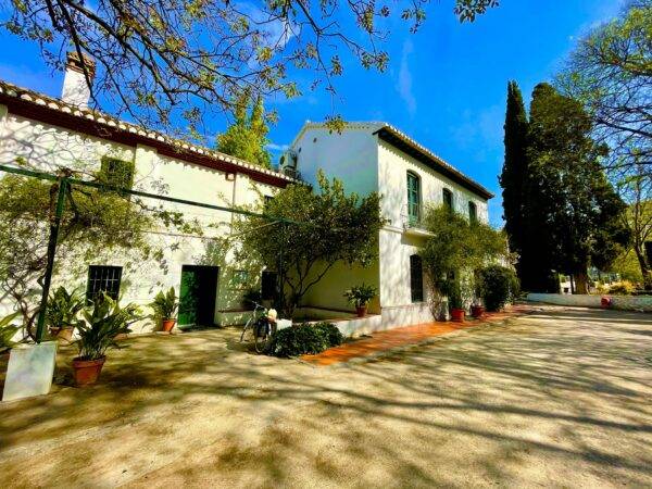 huerta san vicente