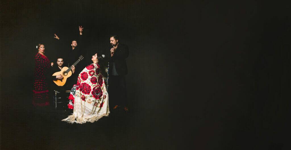 Casa Ana Flamenco Granada