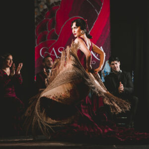 flamenco casa ana