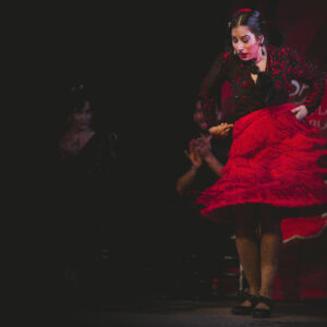 flamenco granada